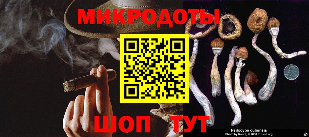 Псилоцибиновые грибы Magic Shrooms  Псилоцибиновые грибы MAGIC MUSHROOMS  Ржев  как найти закладки  Вход с VPN 