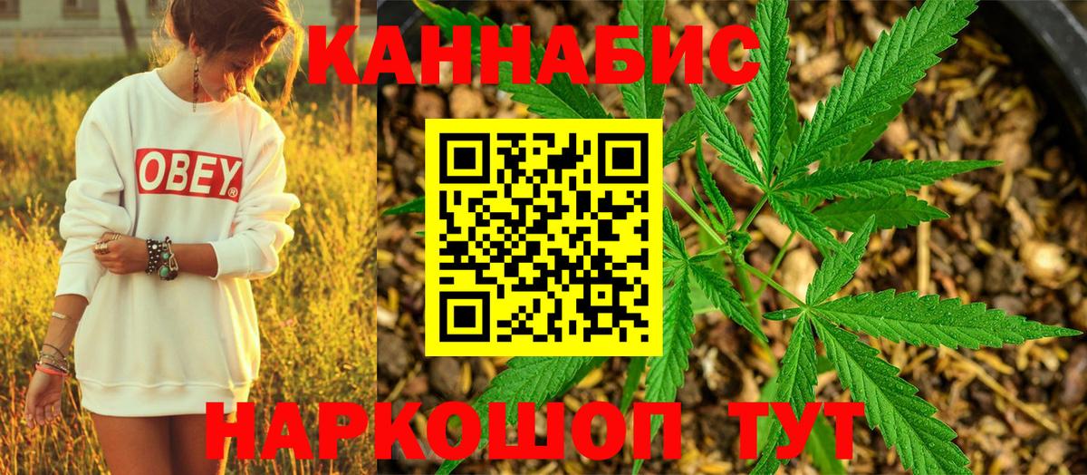 Бошки Шишки гибрид  Вход с VPN  Бошки марихуана план  Марихуана AK-47  Ржев 